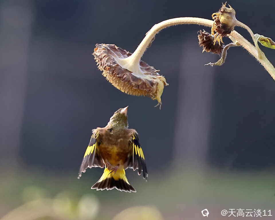 5D2A1862_副本.jpg