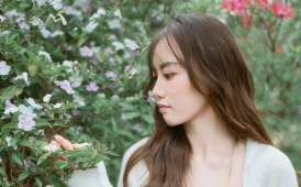 春深，花落满肩