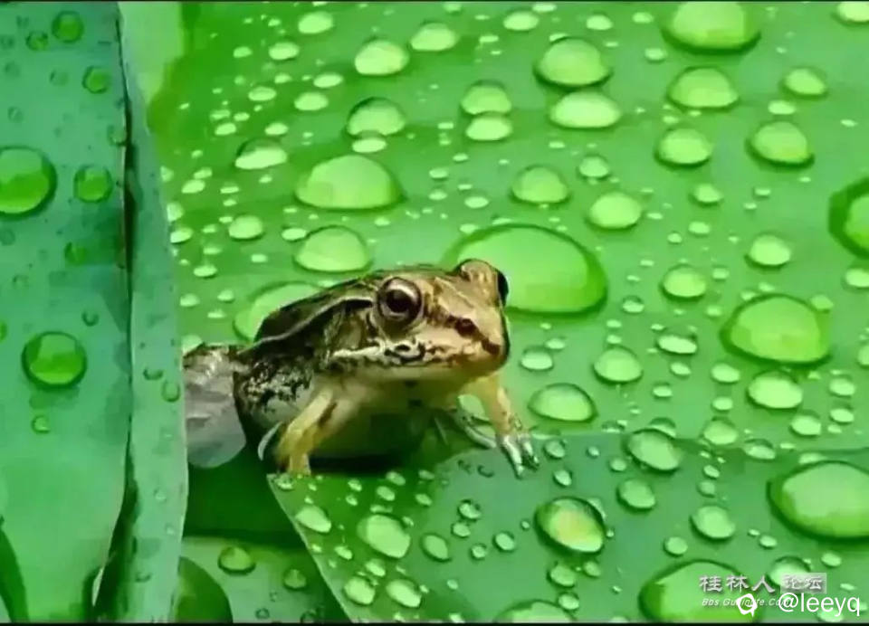 u=2830862042,4011114785&fm=253&fmt=auto&app=138&f=JPEG.webp (1).jpg