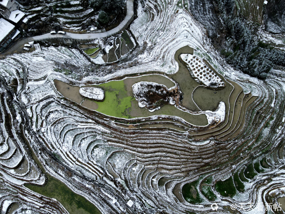 DJI_0240_副本.jpg