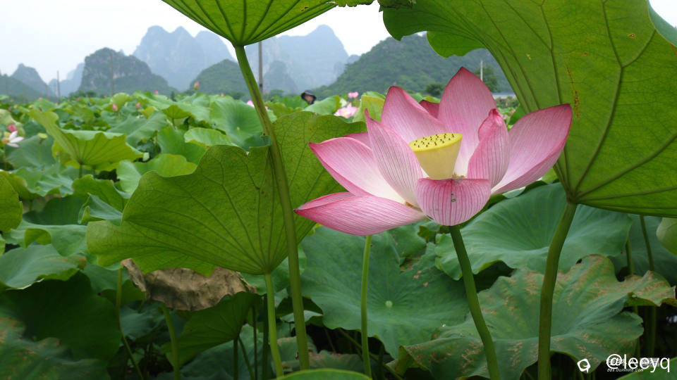 P1180366_副本.jpg