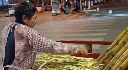 摊主给顾客削甘蔗，把甘蔗皮摆放得整整齐齐