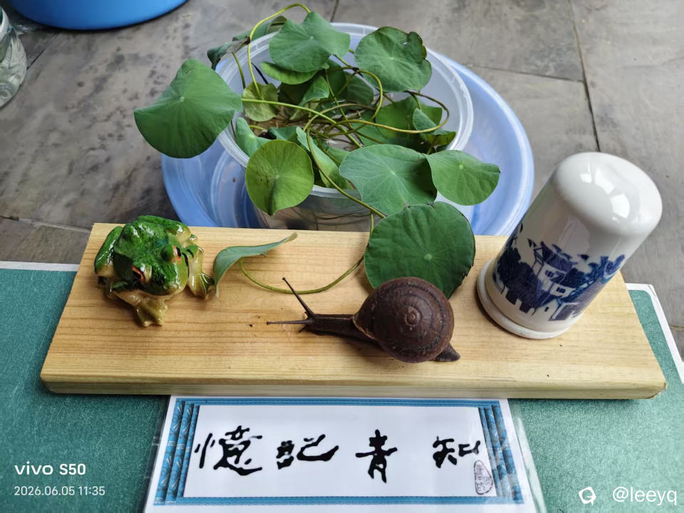微信图片_20260605123629_175_117.jpg