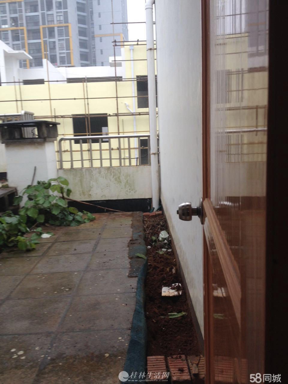 пոʽ¥¶̨̨⣨вȨ棩