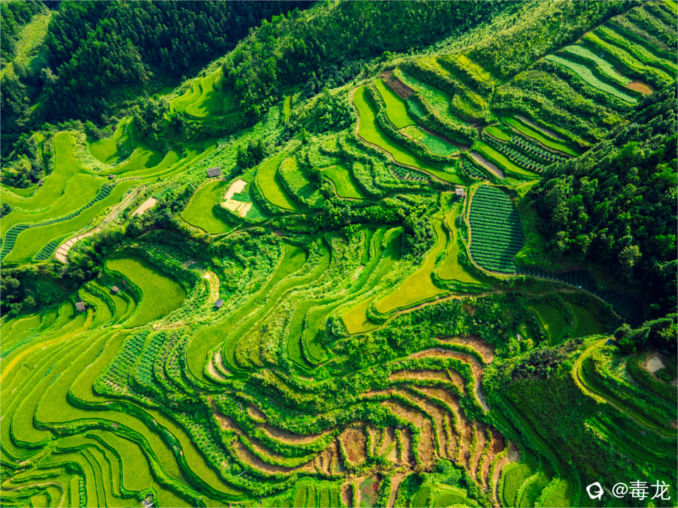 DJI_0196-HDR_副本.jpg