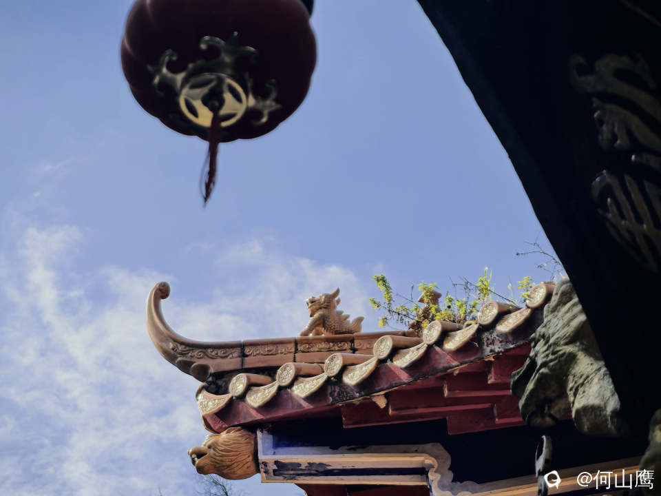 e7c2f3d8-dd50-390a-3a43-6d63e1e937a5.jpg
