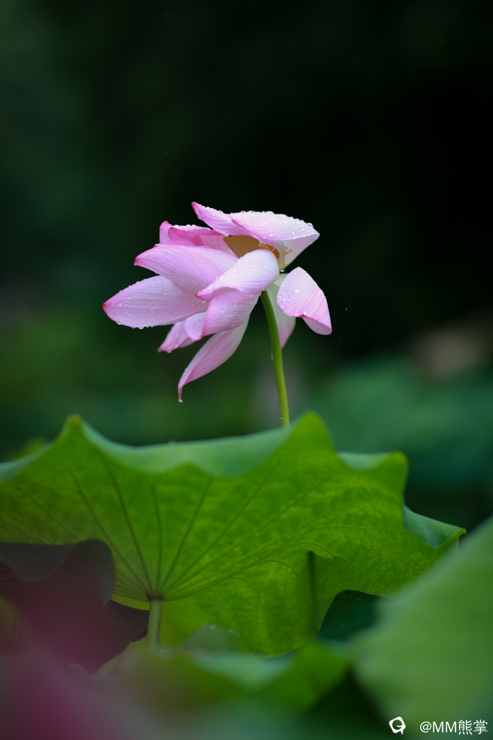 f9de7a12-8d7a-da47-2b58-0ab2657070a7.jpg