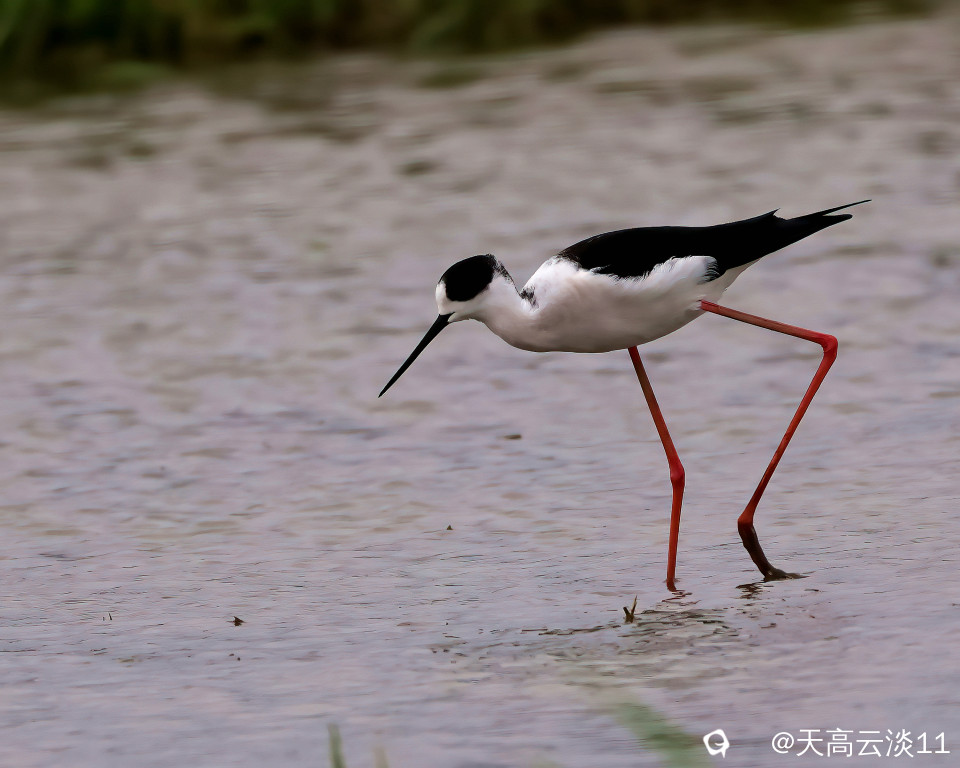 5D2A0395_副本-DeNoiseAI-clear.jpg