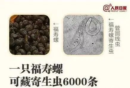 微信图片_20250507100059.png