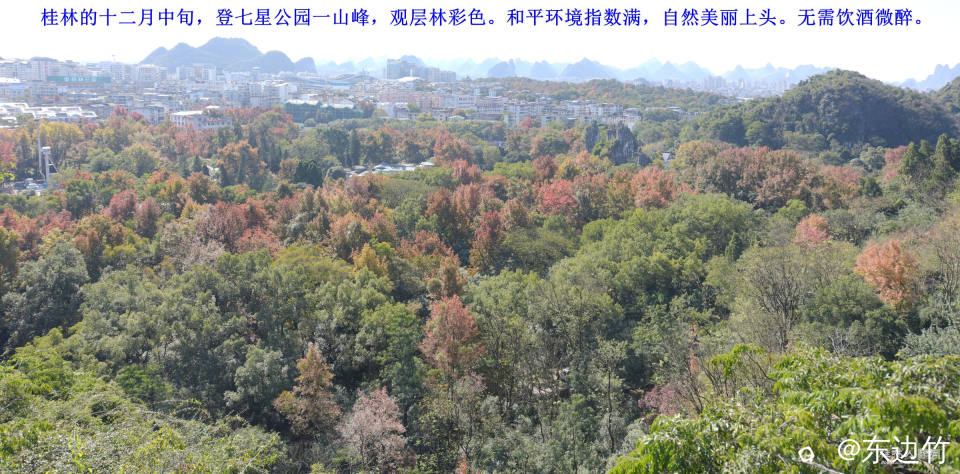 D15十二 074_副本_副本.jpg