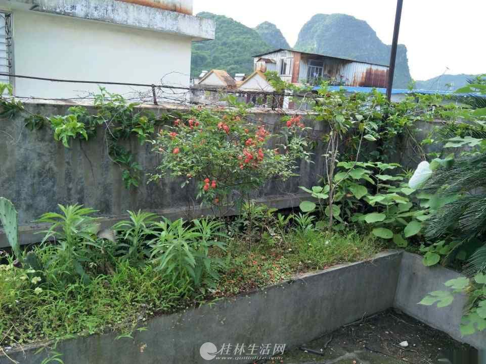 @�����  ����ԷС��  ��װ������Ȩ���73ƽʹ��120ƽ���������棬ҵ�����ĳ���