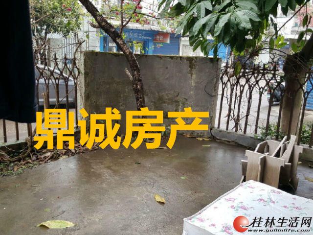 ��������С�� 3��2��2�� һ¥��ǰ���Ժ�� ��ס���� λ�úã����ͺ�