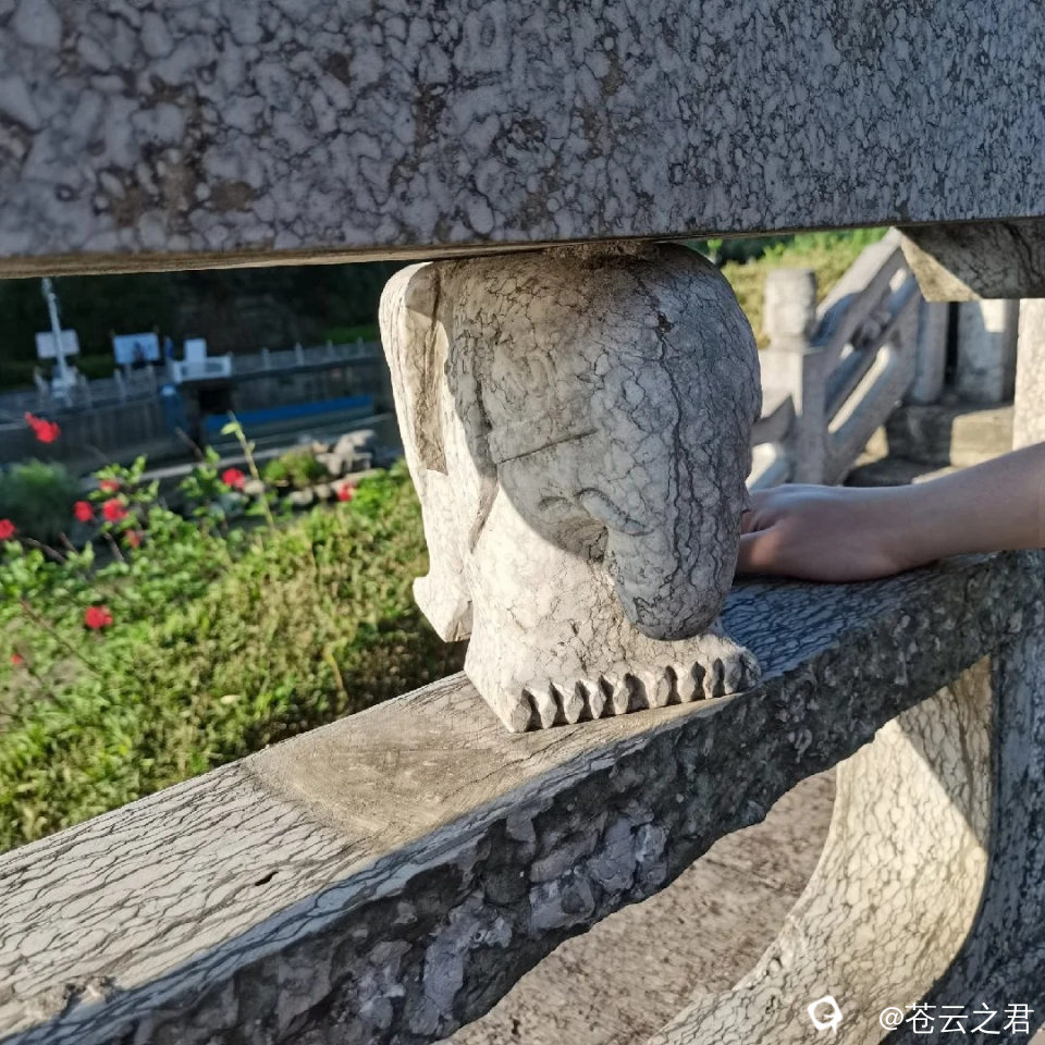 过了22年，那只石象还是会动！_🐟_来自小红书网页版.jpg
