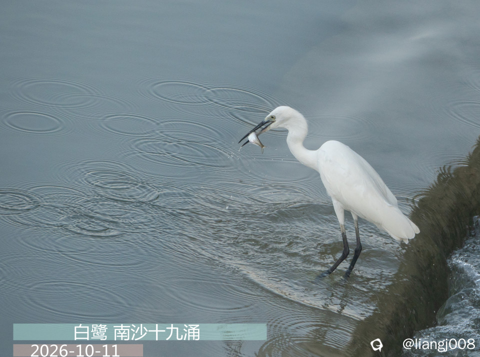 DSC01955_副本_副本.jpg