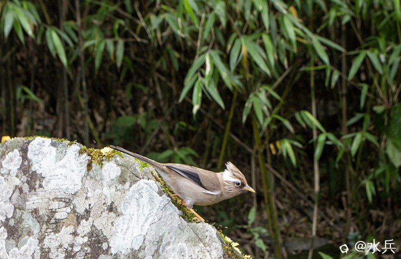 IMG_8364 拷贝.jpg