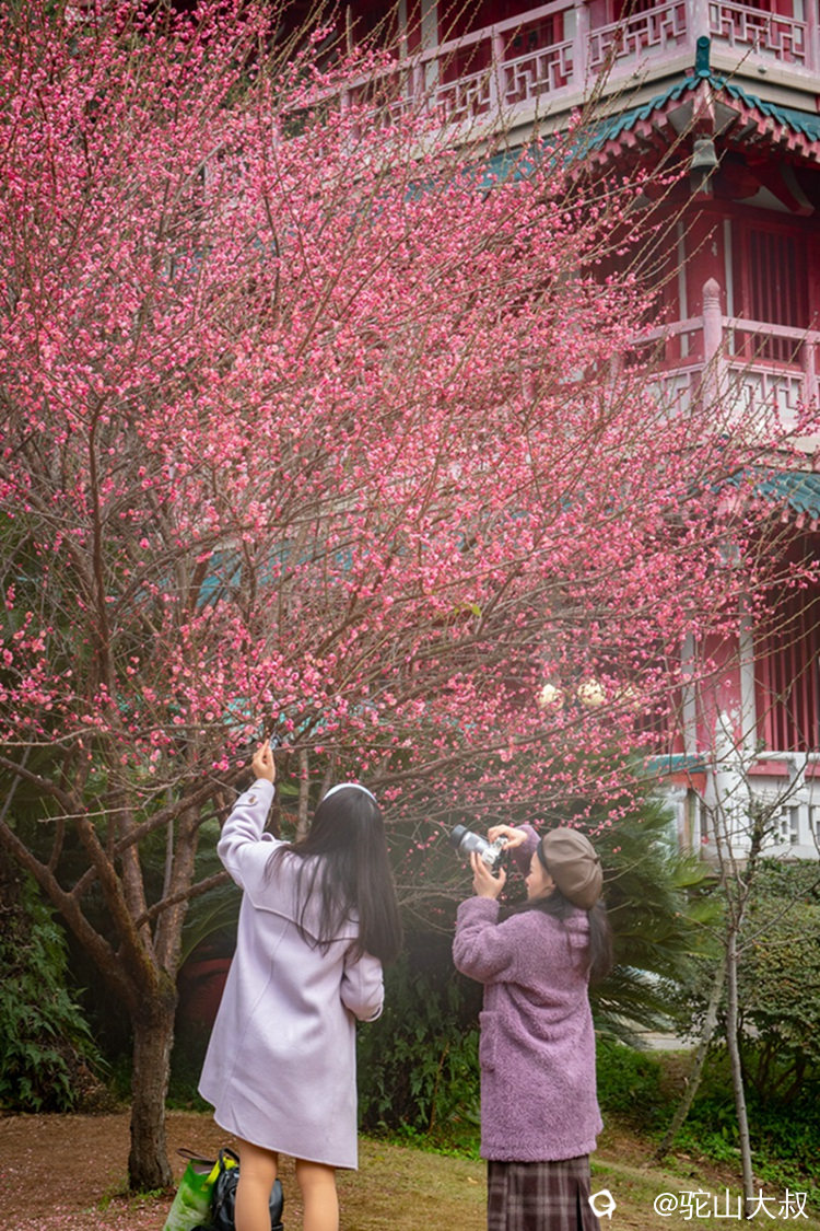 DSC05433-0_副本10.jpg