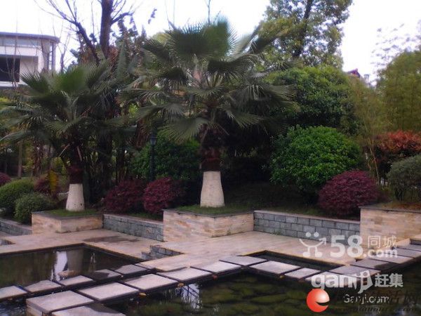 S�ٹ� ʱ�����Է����7¥ ��ˮδס 2��˫��̨����38��