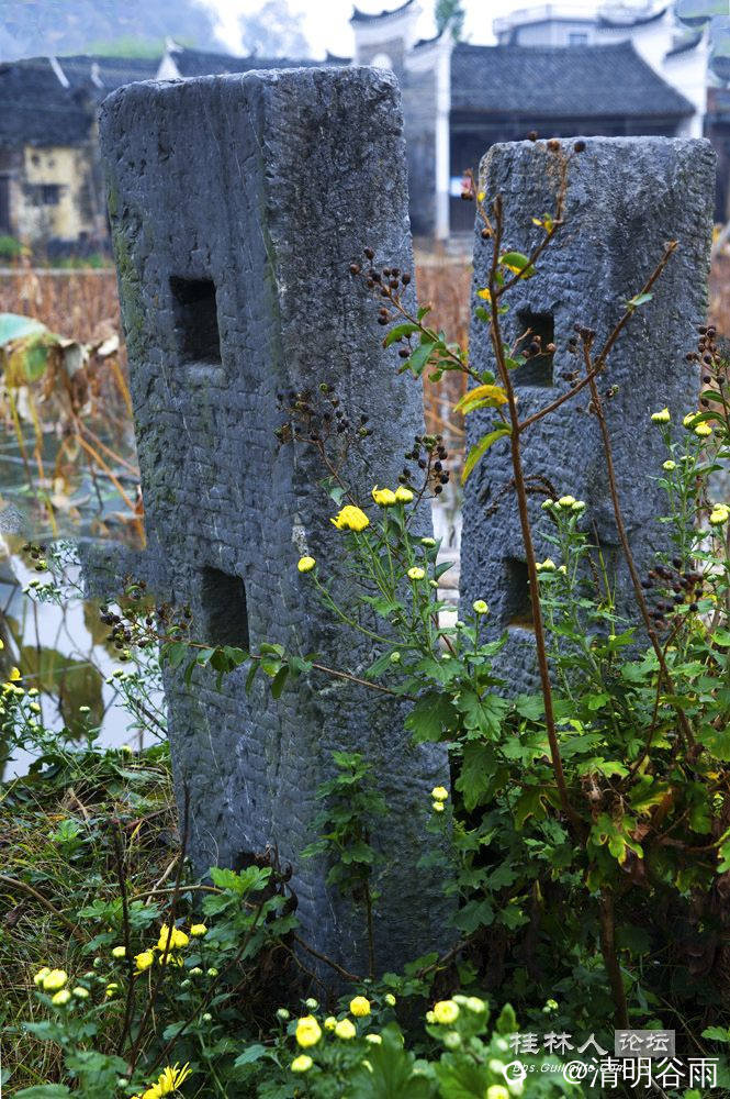 DSC_7962.jpg