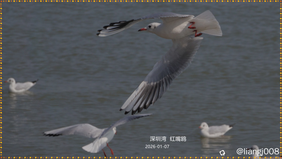 DSC02024.JPG
