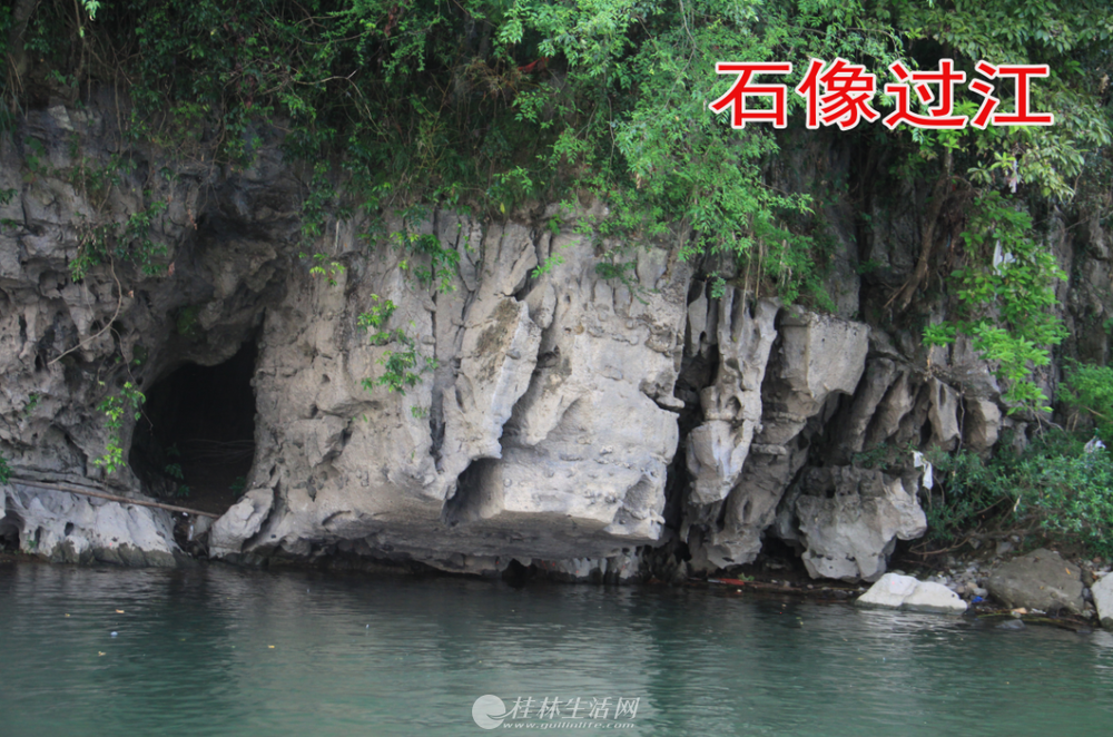�콭���׹���Ʒ����