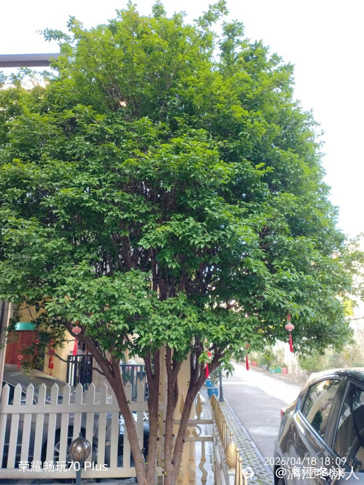 微信图片_20260507151021_529_21.jpg