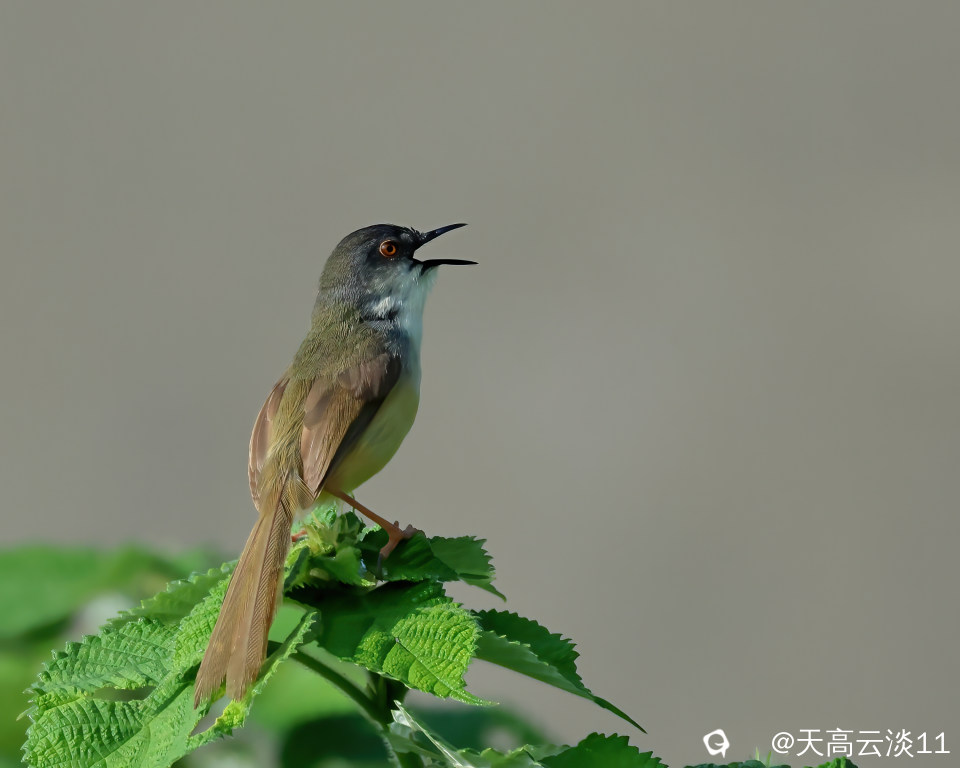 5D2A0204_副本-DeNoiseAI-denoise.jpg