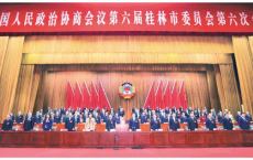 市政协六届六次会议胜利闭幕 李楚卢新华赵仲华出席 罗试坚讲话