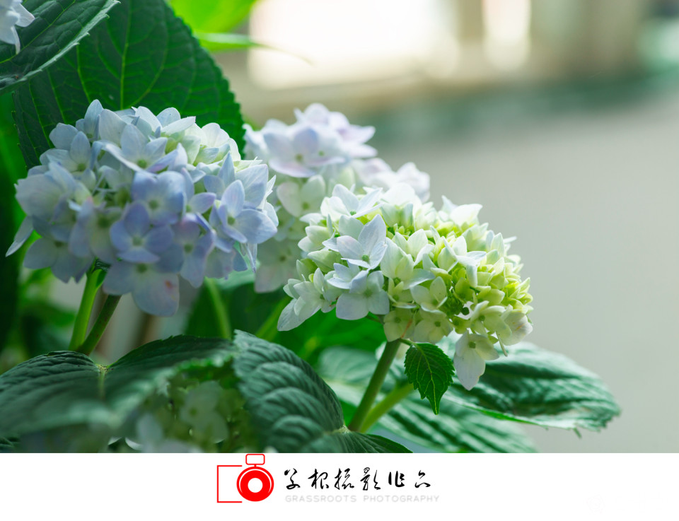 _DSC7807 拷贝_副本.jpg