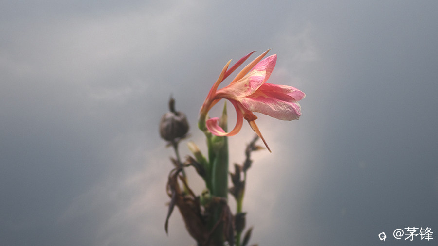 DSCF8898.jpg