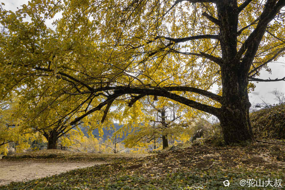 DSC04178-0 - 副本.jpg