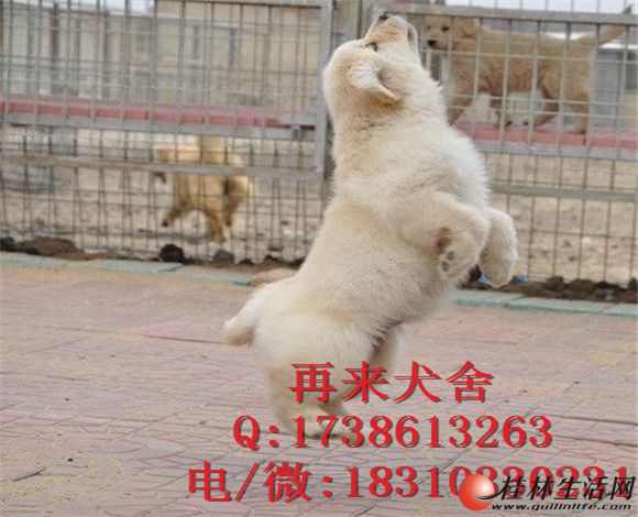 	 ������ë ���ִ�ͷ��ëȮ ���ֽ�����ë��Ȯ