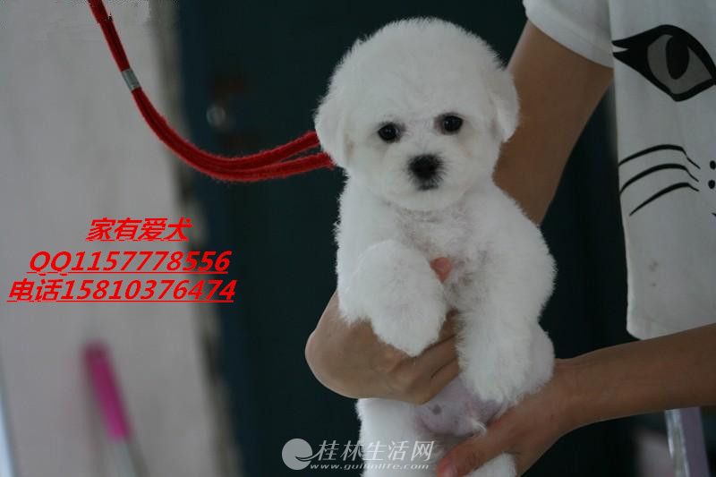 ���۾�Ʒ������ȮһǩЭ�鱣����һ������֤����֤