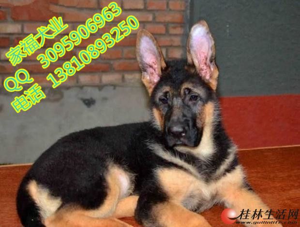 �������ֵ�������Ǯ ����������ϵ���� �����Ҹ�Ȯҵֱ������
