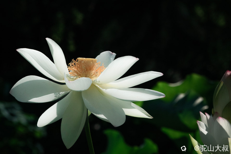 DSC03689-0.jpg