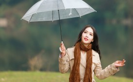 歲序更迭，又是一年