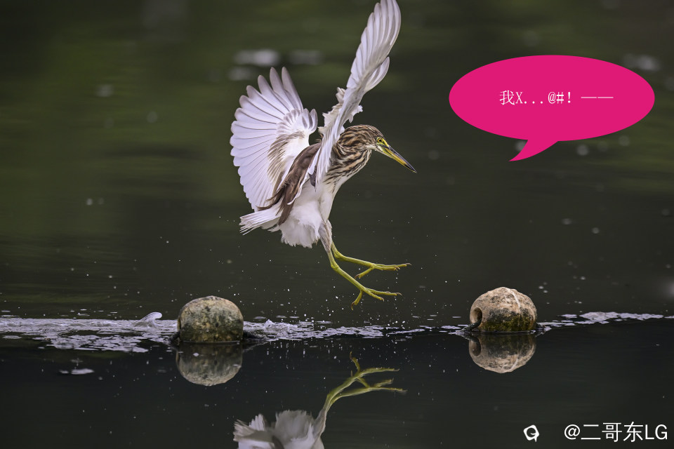 唉呀妈呀快闪开急急急 (7).jpg