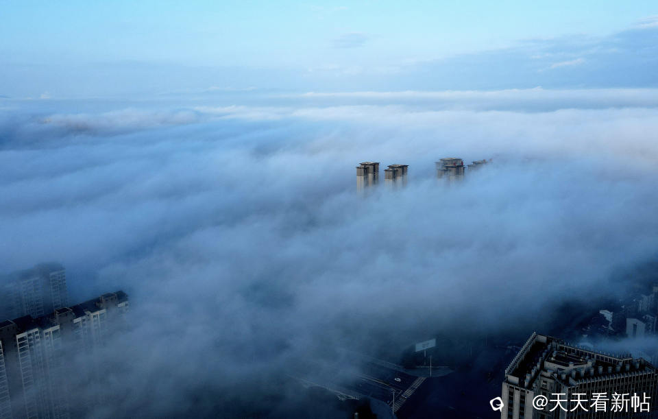 DJI_0385_副本.jpg