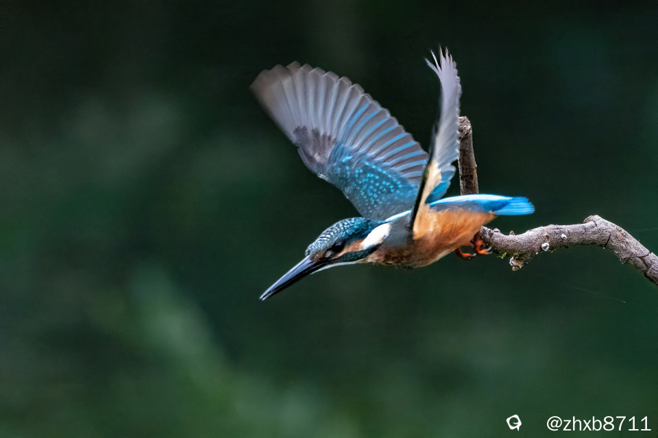 CW2A3169 拷贝副本-topaz-sharpen-denoise.jpg