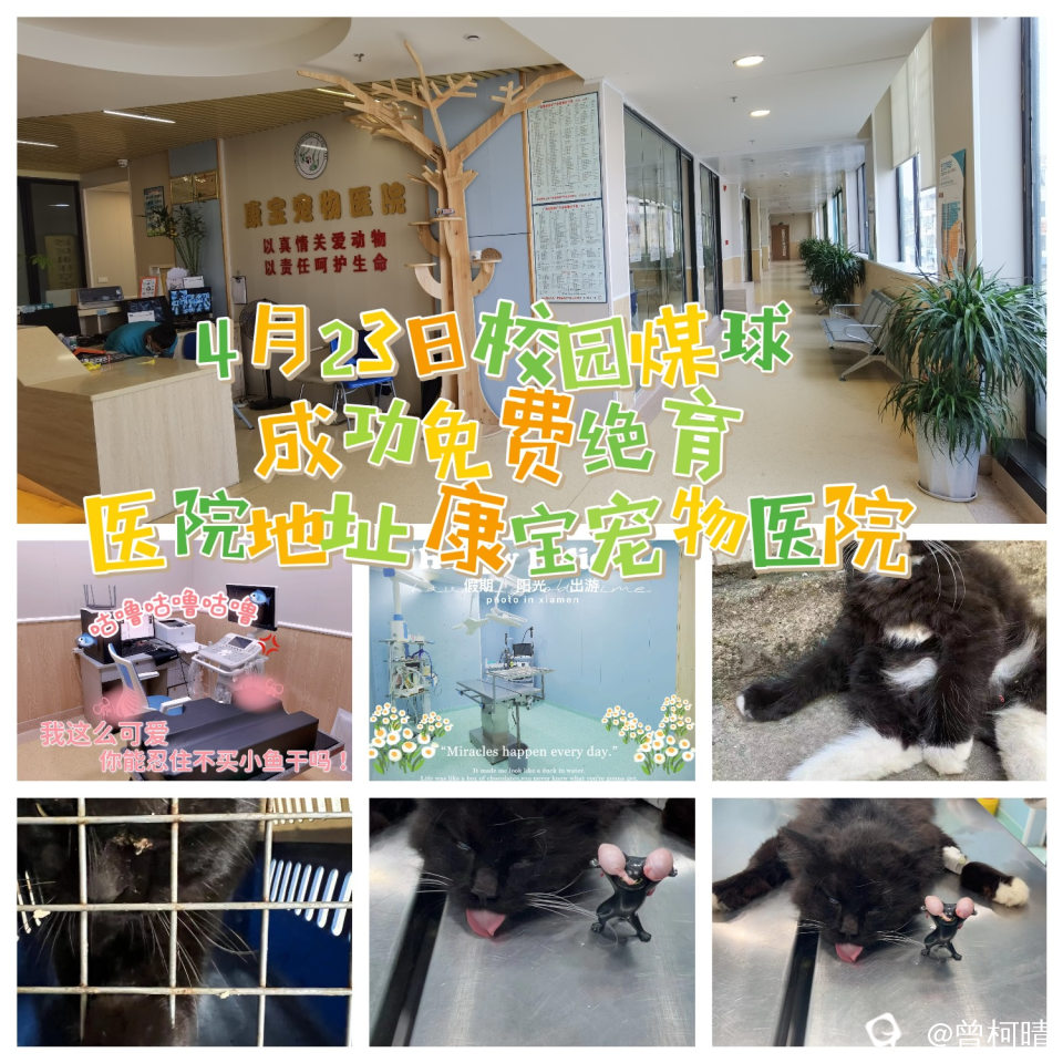IMG_9915.jpeg