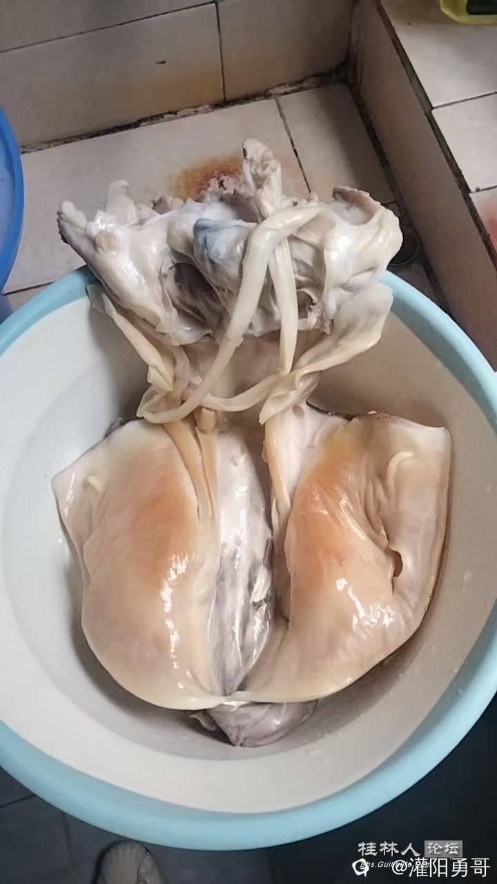 微信图片_20241207152600.jpg