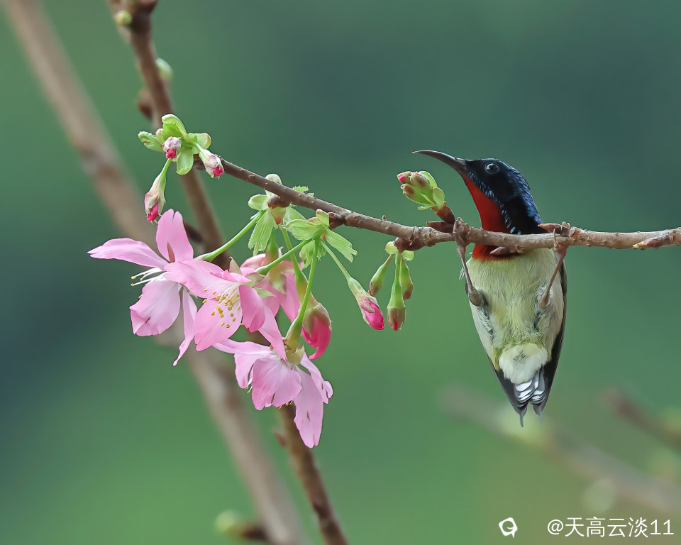 5D2A0408-DeNoiseAI-clear.jpg