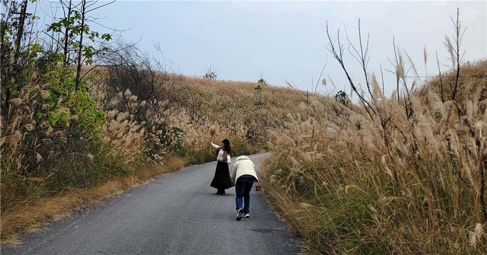 家門口的新網(wǎng)紅打卡地