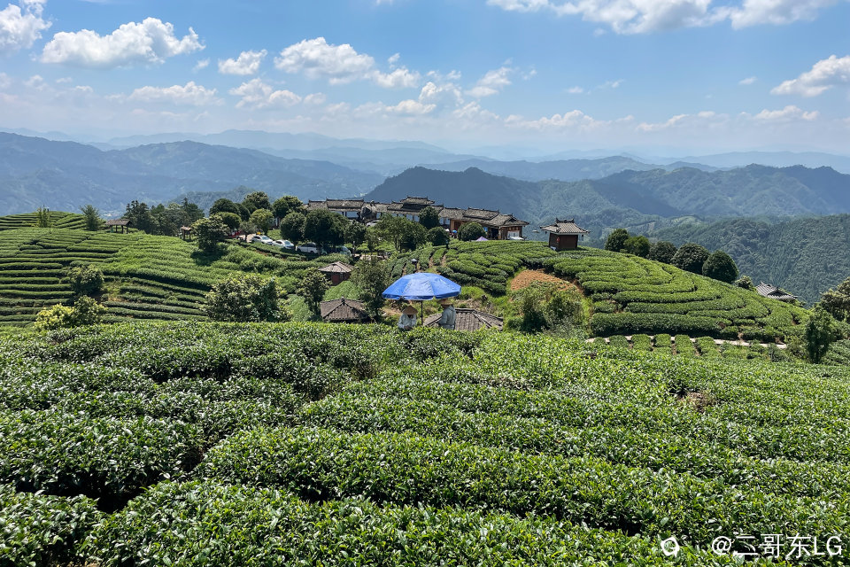 三江掠影  (11).jpg