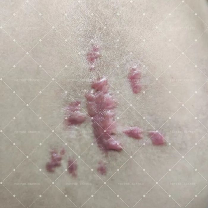 微信图片_20260823091913_27_193.jpg