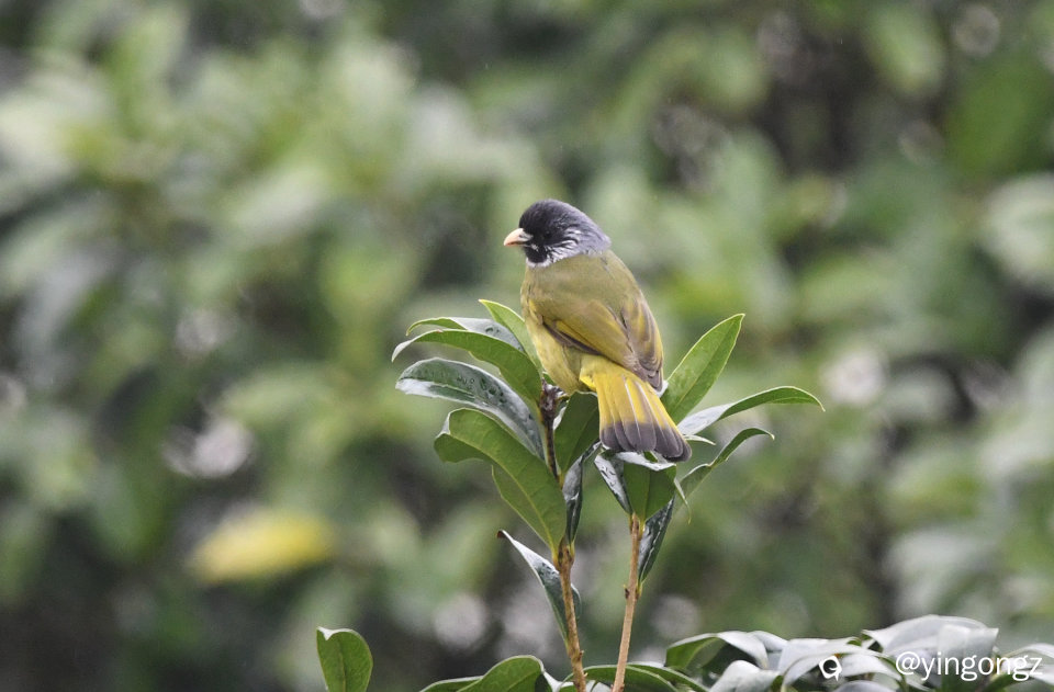 DSC_5273_副本.jpg
