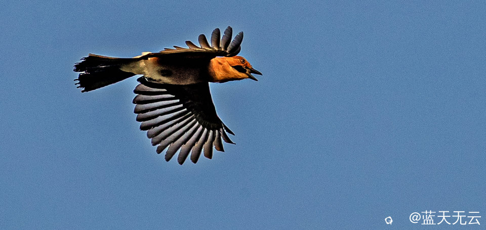 _40I6979 拷贝p.jpg