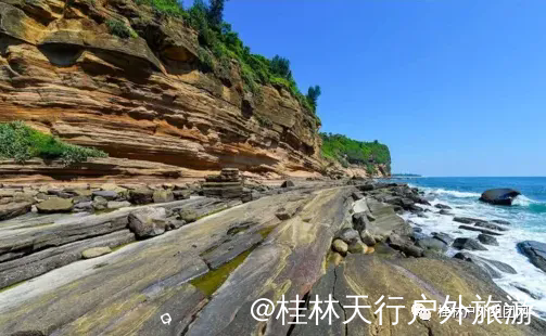 640.webp (1).png