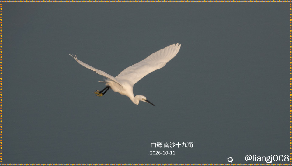 DSC01915_副本.jpg