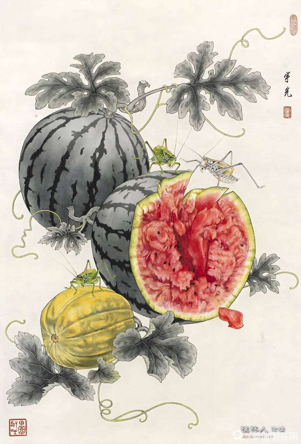 宝岛西瓜.jpg