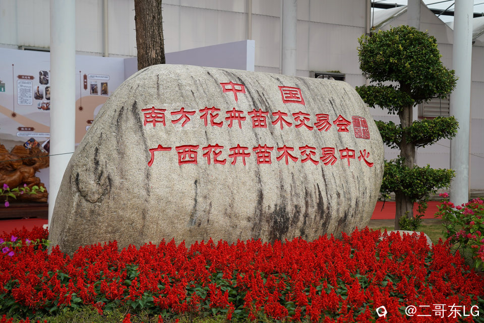 南方第三届花卉苗木交易会 (4).jpg